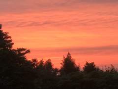 한 순간 붉어질때