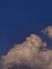 사랑을 100자 이내로 서술해봐