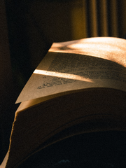 전지적 독자 시점