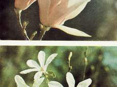 네가 우는 것은 내게 어떤 폭풍우보다 소란한 일