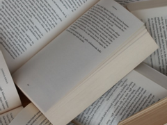 미래가 사라졌다