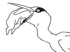 홍제천 산책 토크