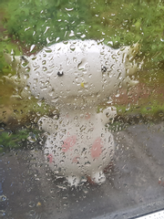 가정교사 히트맨 리본