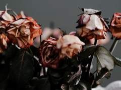 나는 사실 널 보면 그냥 울고 싶었다