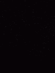 우리 동네 배추총각