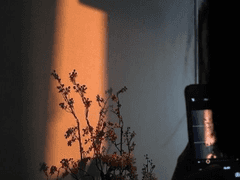 [오사아츠] 리시안셔스