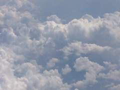 Ángel Arias’s Will