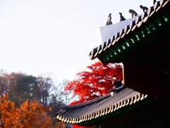 [조선 BL] 먹히기 전에 먹어라