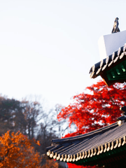 [조선 BL] 먹히기 전에 먹어라