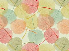 [논컾] 젠인가의 웬디씨! -11~17+외전