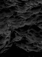 프로젝트 파라독스