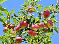 [백망되/팀록정] ALIVE