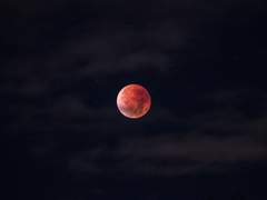 죽음의 기운이 근처에 머문다니까요?