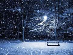 뭘 바라셨나요.