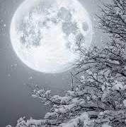 당신도 말해주셨으니까요