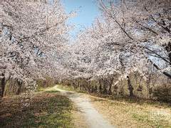 [고래별/해수수아] 목소리_일곱번째