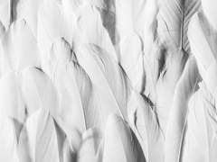 [치트패치]아이와의 유대감 형성을 피하기 위한 안내책자