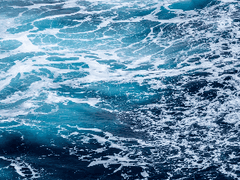 나는 진짜 '트렌디' 하지 못한 마이너 작가인가? 상업적인 작가는 어떻게 될까?