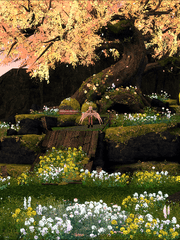 어느 밀레시안의 기록