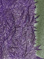 화분에 잡초를 기르고 싶다.