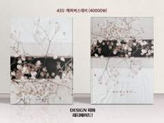 435 해피버스데이