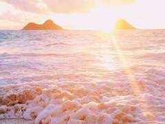 [양의 사수/무길하리]One more love 04(完)