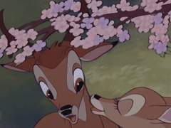 수싀 트윗백업 5월 - 하