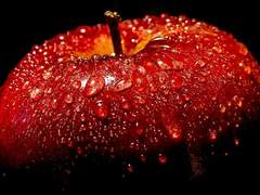 자료 / 뉴욕시를 빅 애플(big Apple)이라 부르는 이유