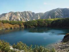 [Ssul] 뇌신과 인어