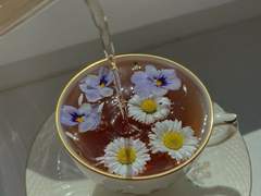 찻집에 이름은 없어도 번호는 있거든요.