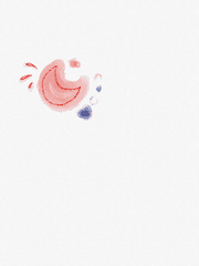 노을과 꽃잎이 지는 시간