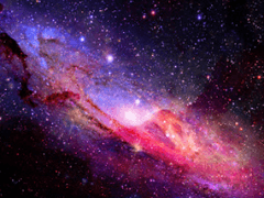 [ Bestia Rookback | 7학년 ]