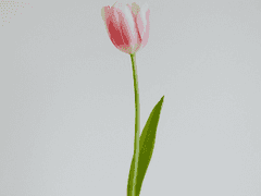 You already have. 01