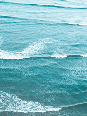 서양 윤리 사상