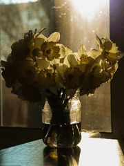 햇빛이 희미하며, 태양이 너무 강렬합니다.