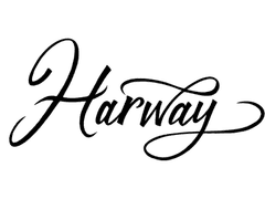 두렵지 않아야 하는 것.