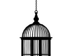 너무나도 고고한 당신에게 / 앤젤라