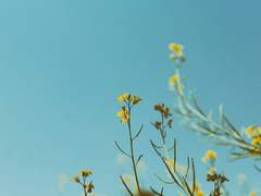 유난히 빛나는 햇살 아래에서