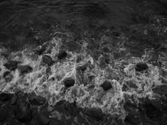 휘월 (환천희지 프로필)