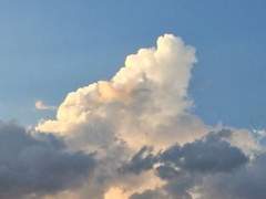 그대의 수호자 : 1화