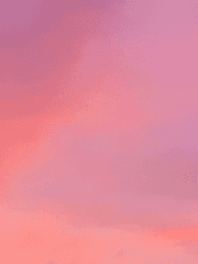 [장훈동재/시목동재] Go Back