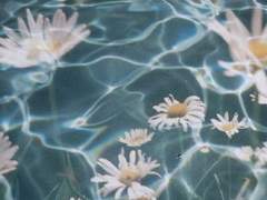 3ㅣthe perks of being a wallflower