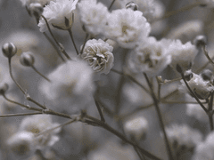 멸망하는 세계 속의 당신에게 사랑을, 中2