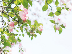 [다이미네] 처음과 같이 이제와 항상 영원히 9