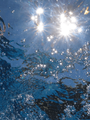 냉장고를 부탁해