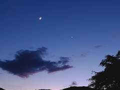 월하정인(月下情人) 15