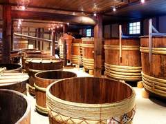 [스이사스] 아담이 눈뜰 때