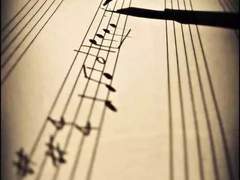 이 또한 너를 불안하게 할 수 있겠지만,