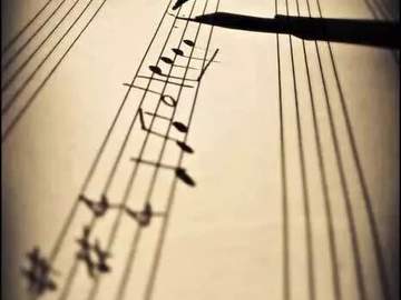 이 또한 너를 불안하게 할 수 있겠지만,