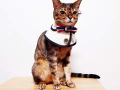 2020 06월 월간 쿠키 학교(?)